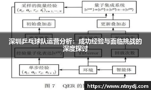 深圳乒乓球队运营分析:成功经验与面临挑战的深度探讨